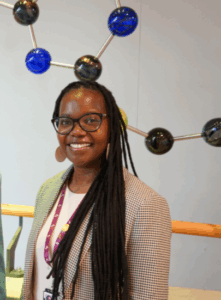 Skarmbild 2026 03 10 135126